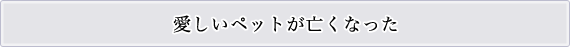 愛しいペットが亡くなった